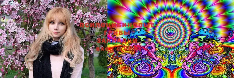 Галлюциногенные грибы MAGIC MUSHROOMS  купить наркотики сайты  Искитим 